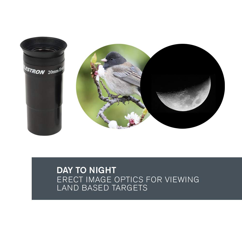 Celestron Astromaster 130EQ Motor Drive - Image 8