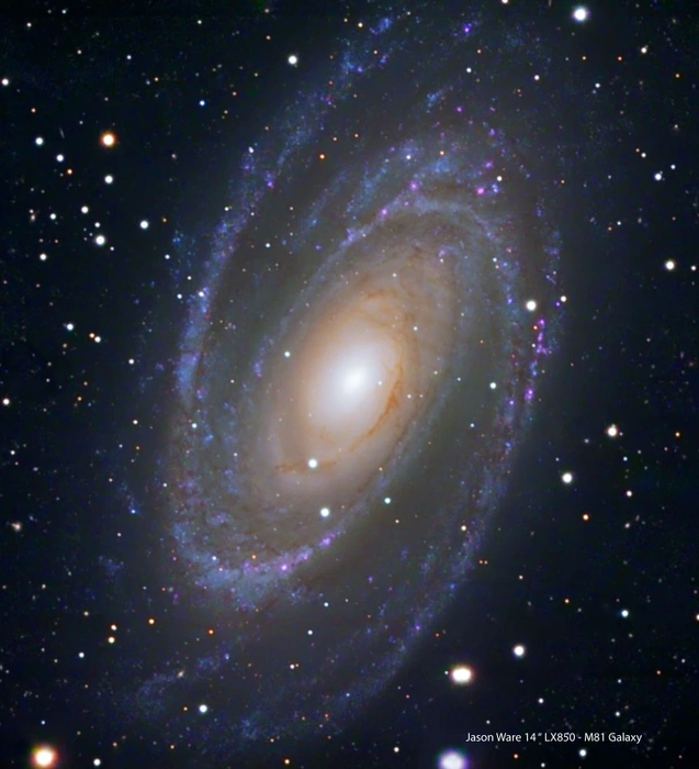 Meade 14" f/8 LX850 ACF Telescope with StarLock and Tripod - Image 5