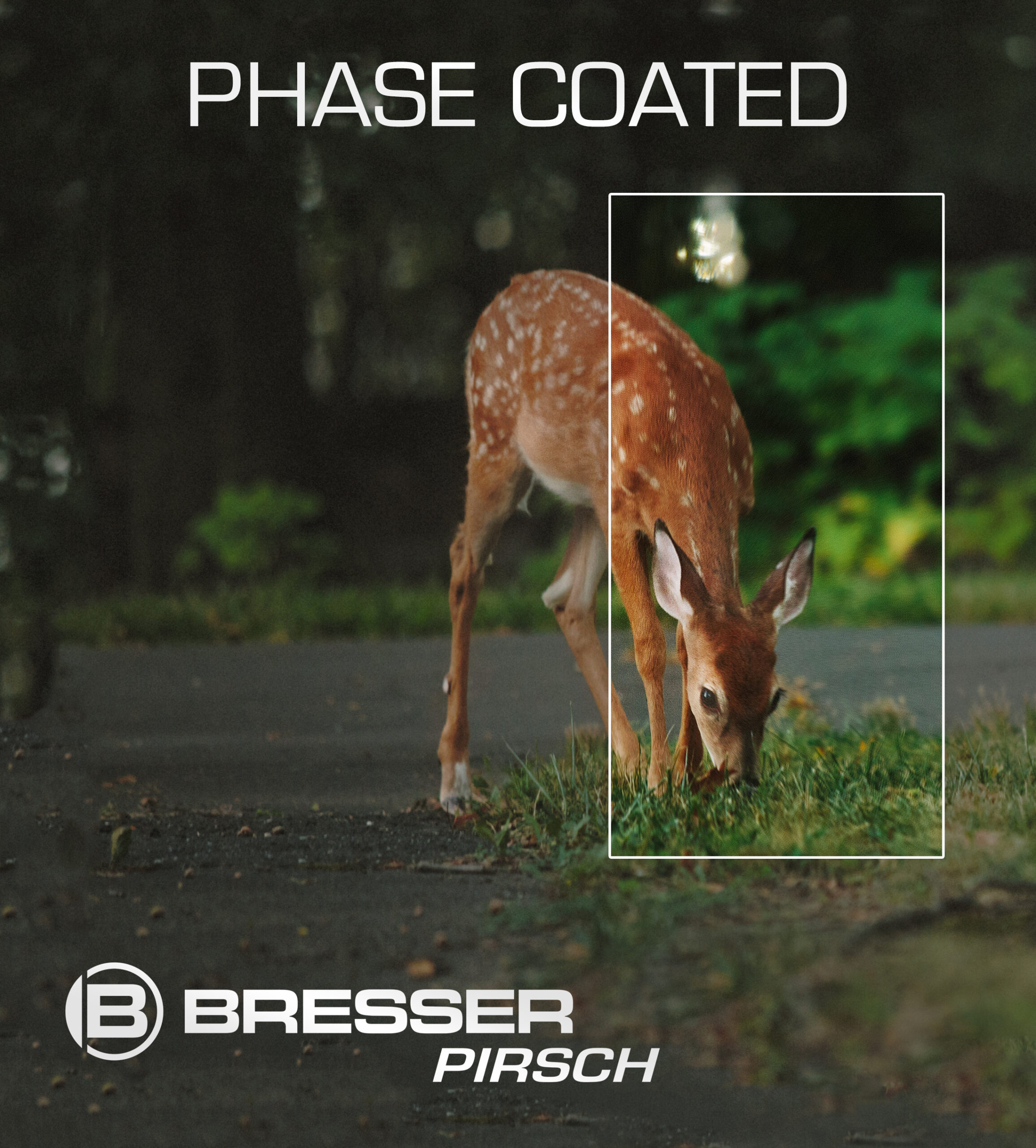 BRESSER Pirsch 8x42 Binoculars with Phase Coating - Image 3