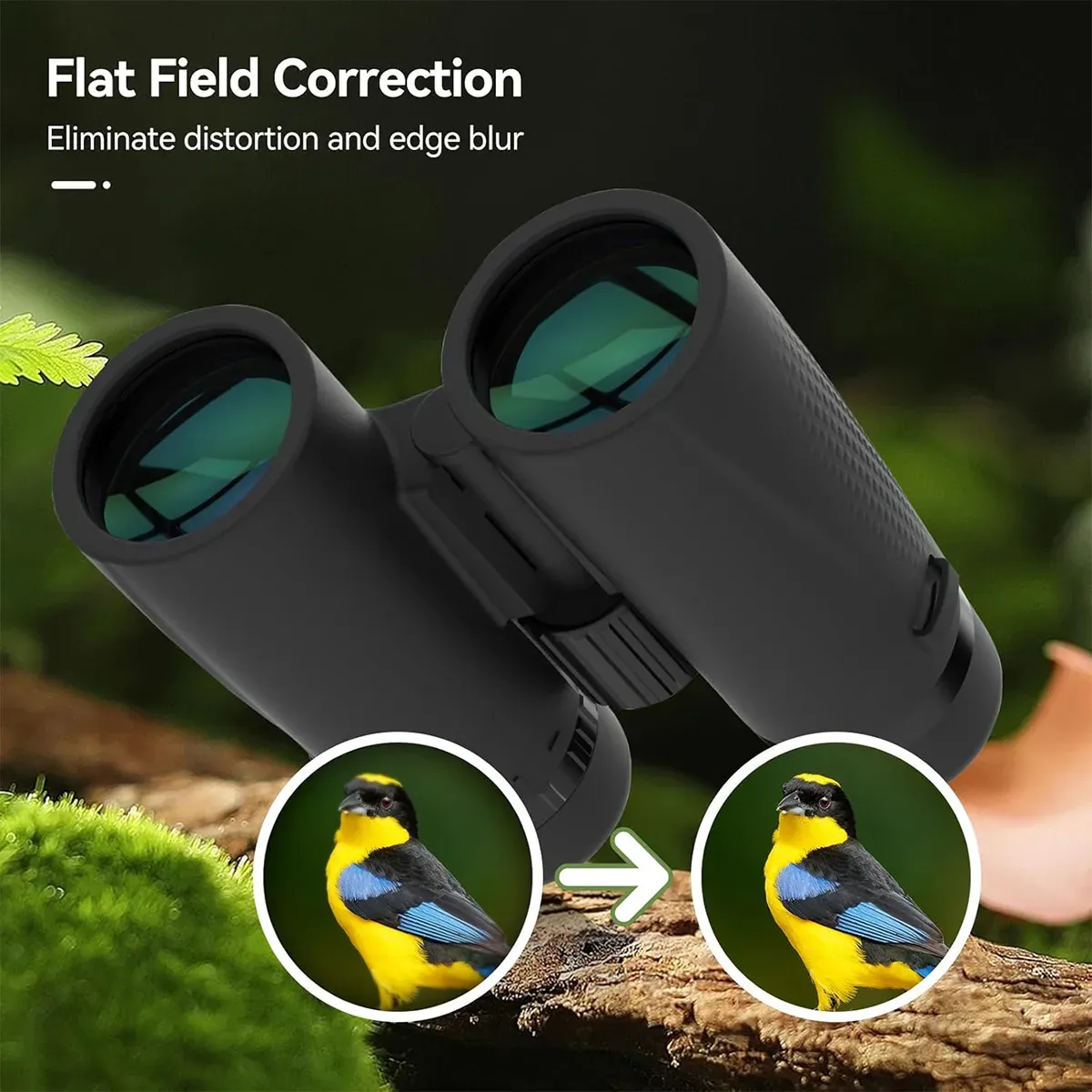 Svbony SA205 8X42 Flat Field ED Binoculars