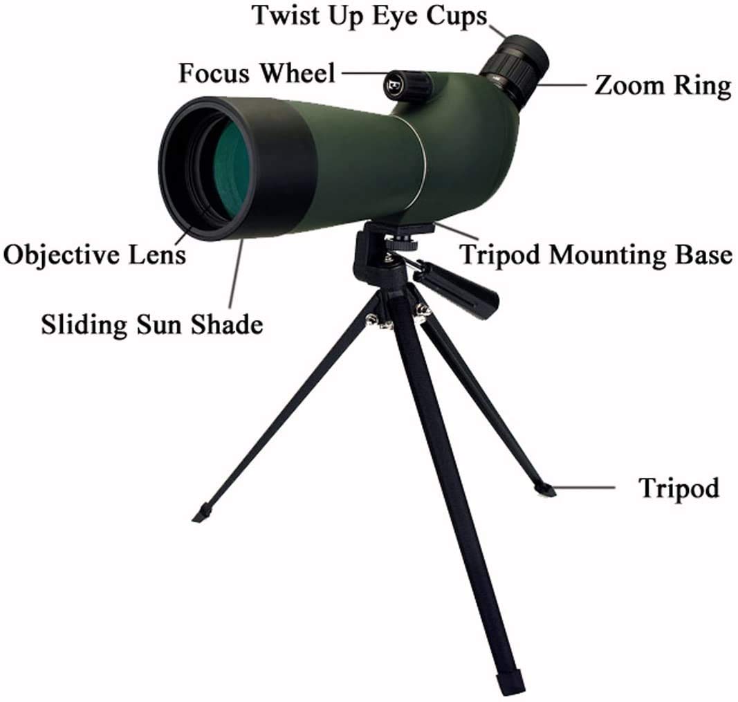 Svbony SV28 20-60X60 Spotting Scope with Smartphone Adapter and Tripod - Image 5