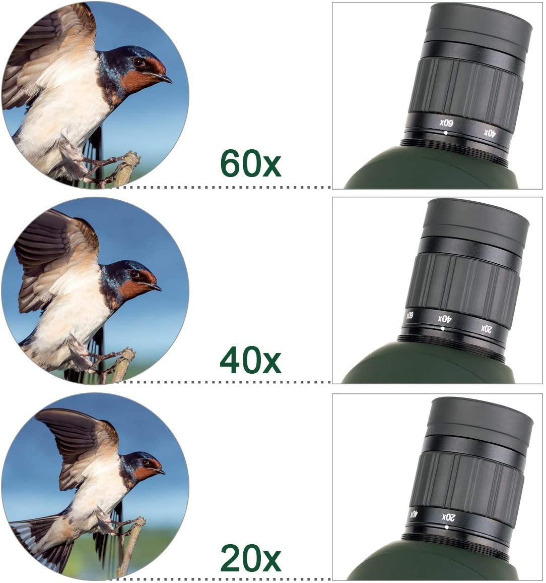 Svbony SV28 20-60X60 Spotting Scope with Smartphone Adapter and Tripod - Image 7