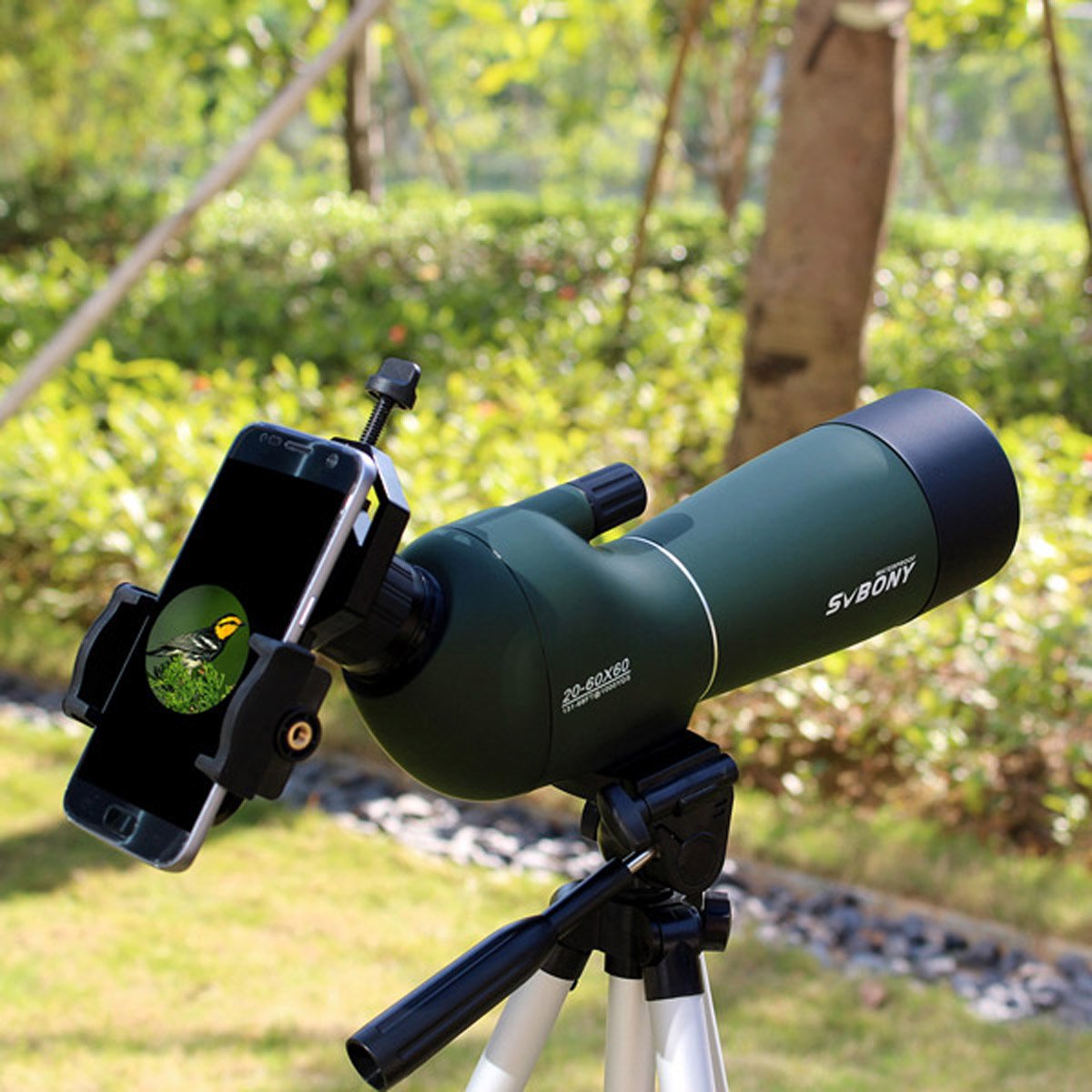 Svbony SV28 20-60X60 Spotting Scope with Smartphone Adapter and Tripod - Image 10