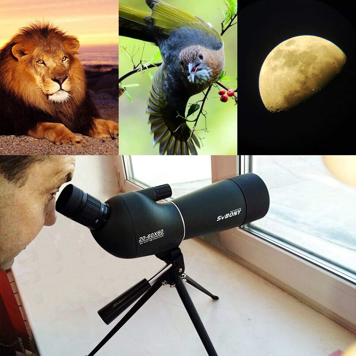 Svbony SV28 20-60X60 Spotting Scope with Smartphone Adapter and Tripod - Image 6