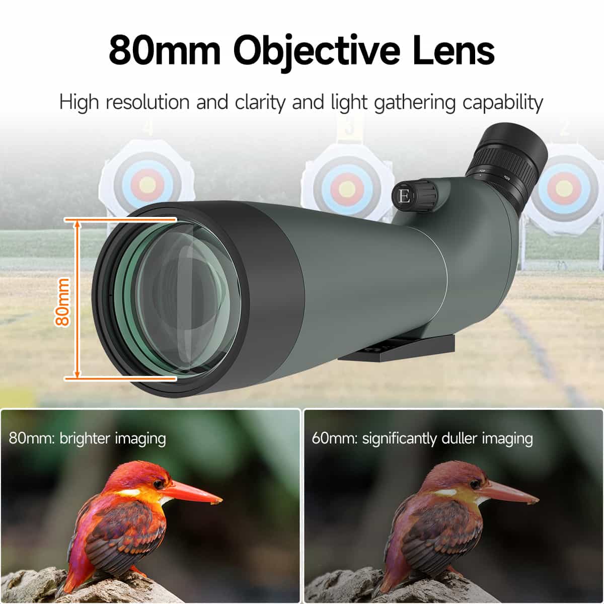 Svbony SV28A 20-60X80 Spotting Scope with Smartphone Adapter and Tripod - Image 3