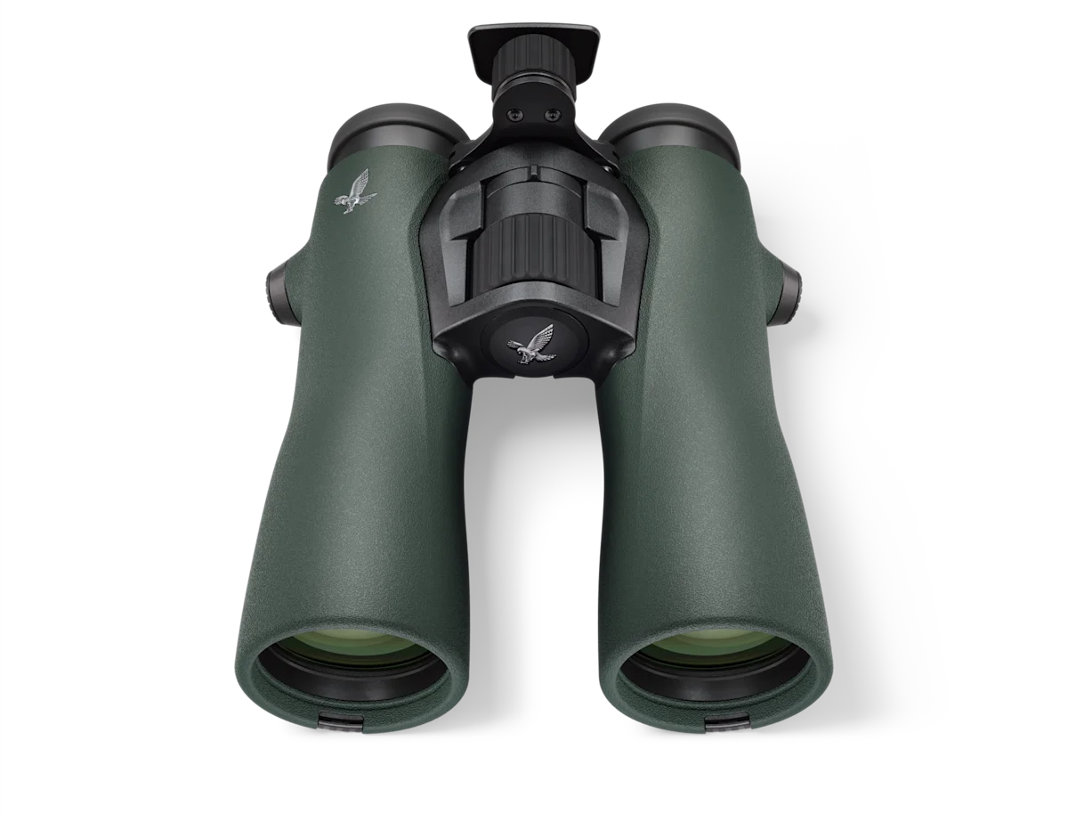 Swarovski 8×42 NL Pure Binoculars (Green) - Image 3