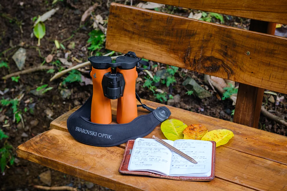 SWAROVSKI 12×42 NL Pure Binoculars (Burnt Orange) - Image 7