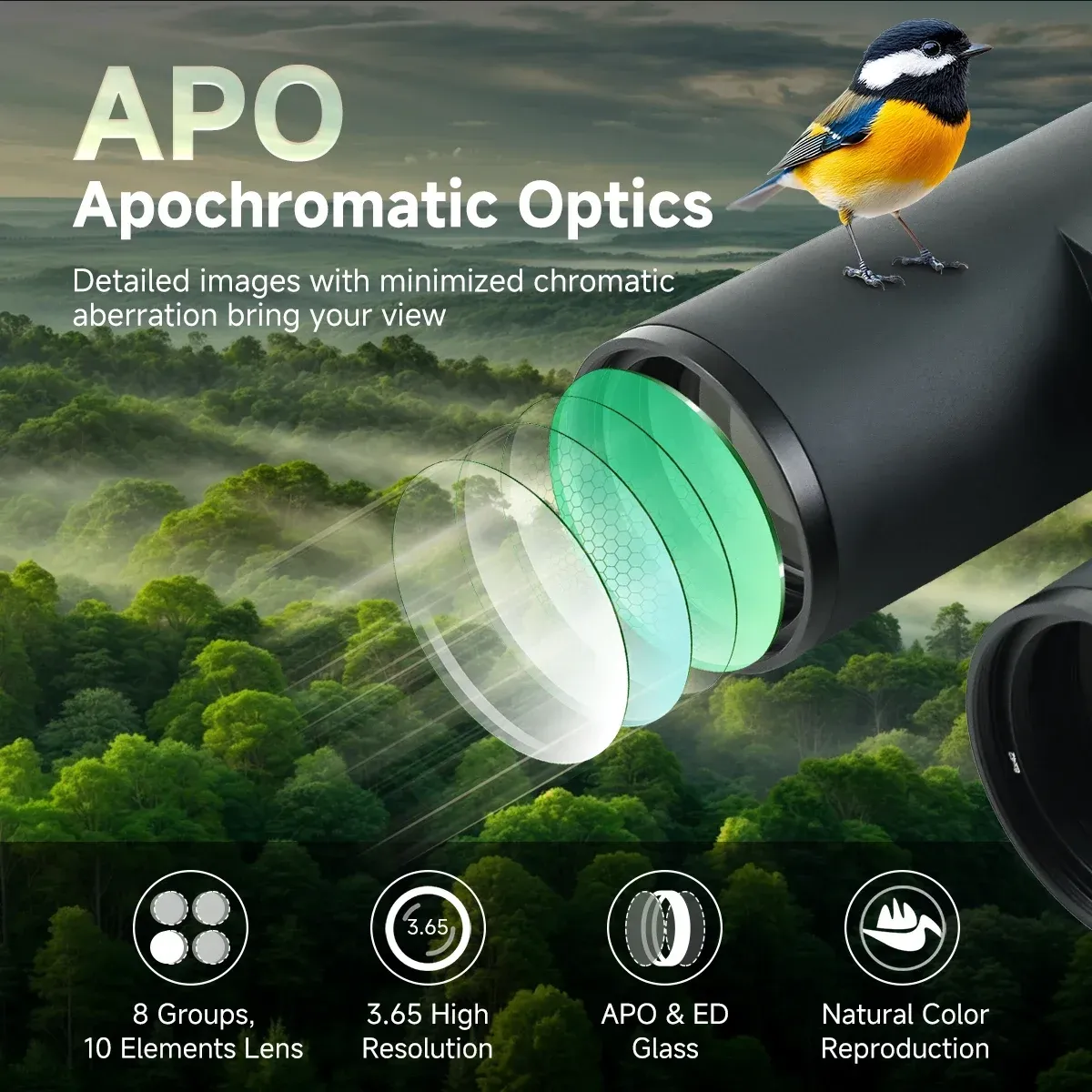 SVBONY SA207 Pro 8x42 APO Apochromatic Binoculars - Image 2
