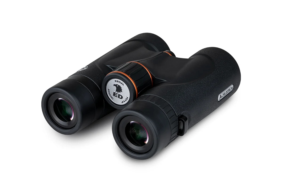 Celestron Regal ED 10x42mm Roof Binoculars - Image 2